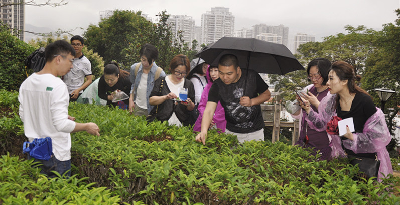 天晟茶艺培训学校是否有茶艺表演与茶席设计道具？