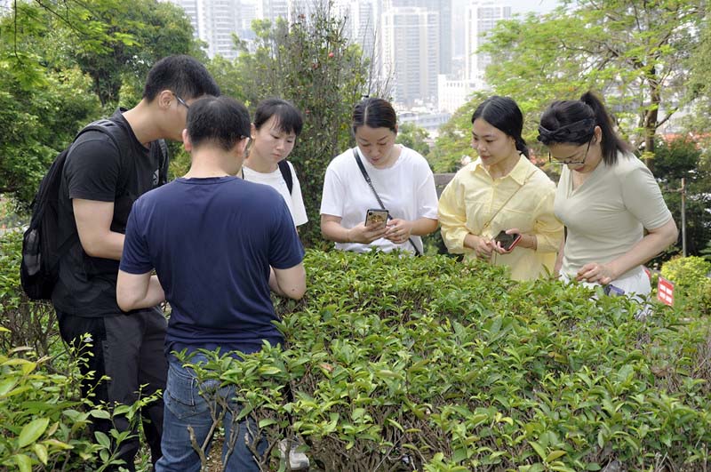 学茶艺是学茶艺表演吗? 茶艺是什么?